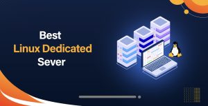 VPS Bussines 10 Gbps España